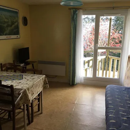 T2 Lioran Pieds Des Pistes 公寓 拉维西尔